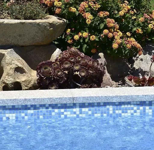 بيت ضيافة La Dei Graniti