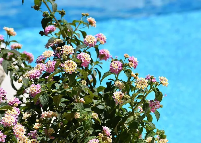 بيت ضيافة La Dei Graniti فيلاّسيمِيوس